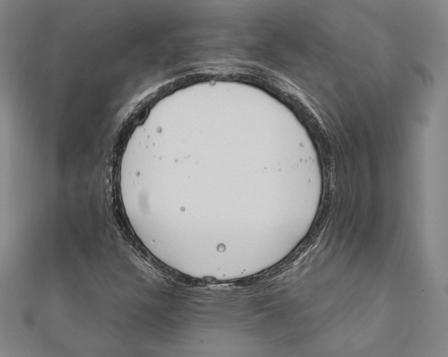 X0000111651304200908141242
