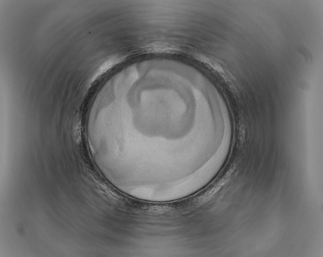 X0000111651306200908141242
