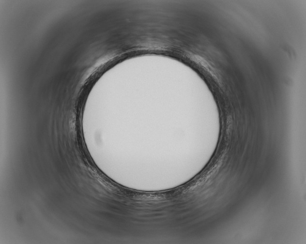 X0000111651307200908141242