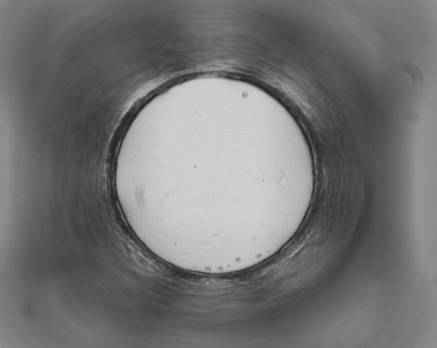 X0000111651308200908141242