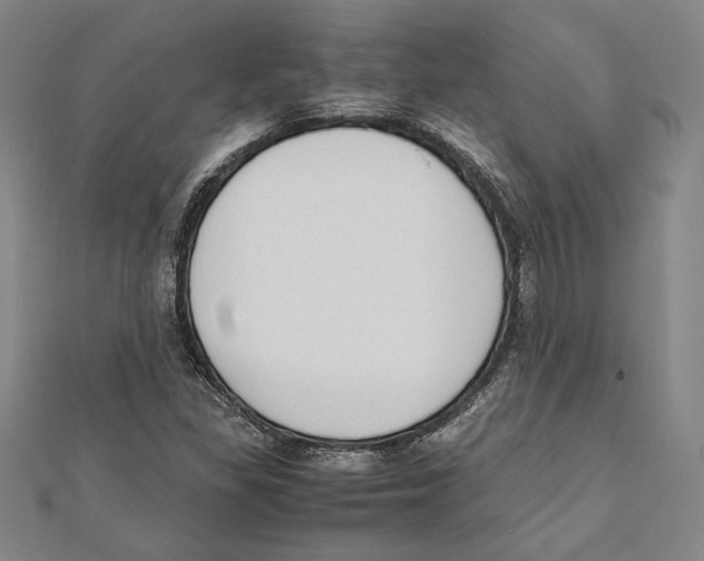 X0000111651309200908141242