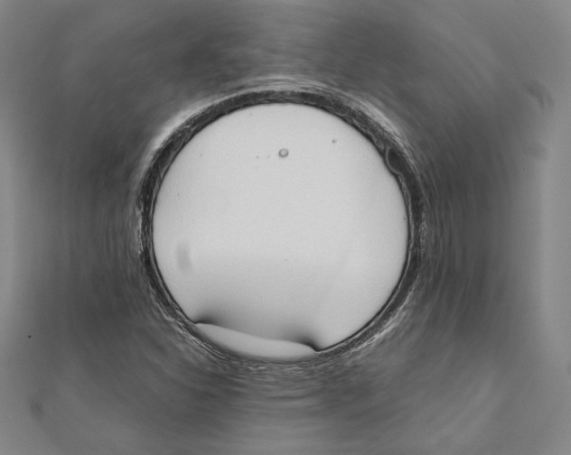 X0000111651310200908141242