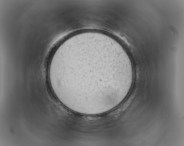 X0000111651311200908141242