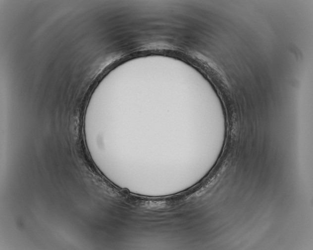 X0000111651313200908141242