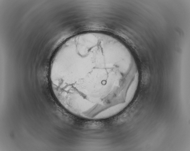 X0000111651314200908141242