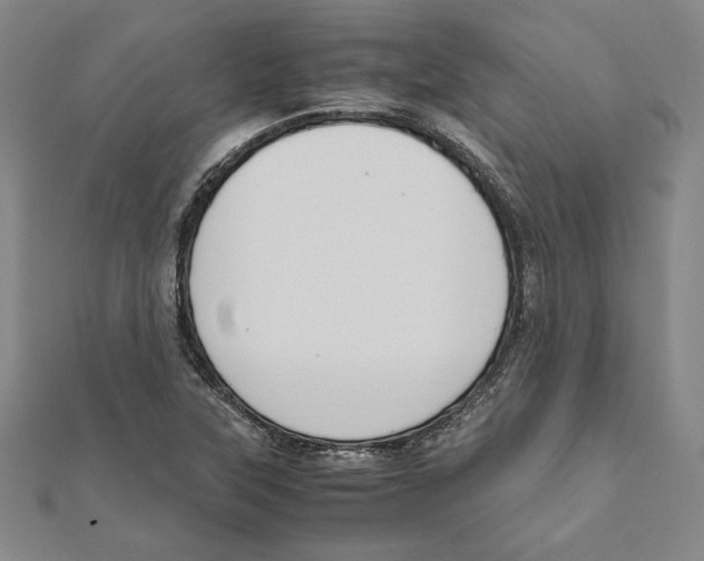 X0000111651315200908141242