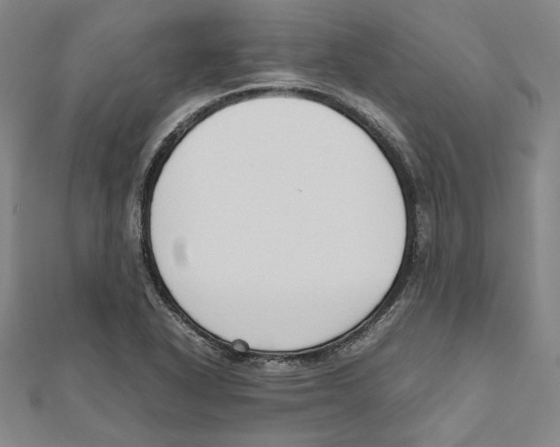 X0000111651318200908141243