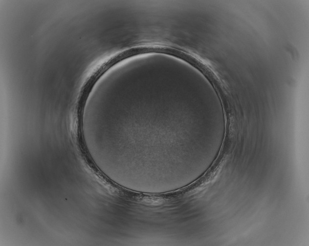 X0000111651319200908141243
