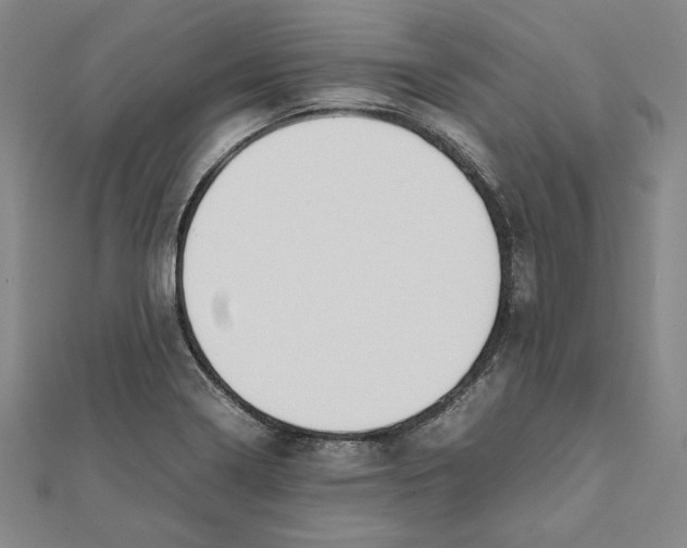 X0000111651322200908141243