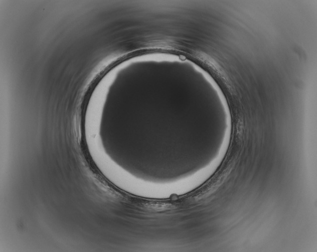 X0000111651323200908141243