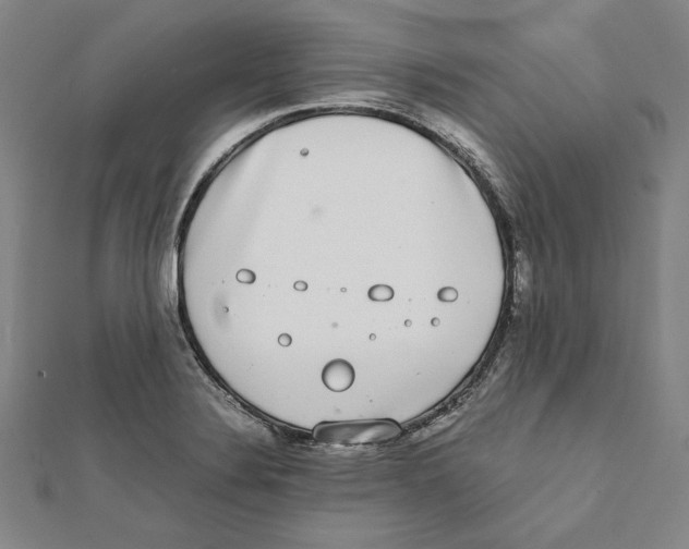 X0000111651324200908141243