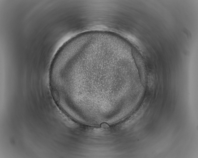 X0000111651326200908141243