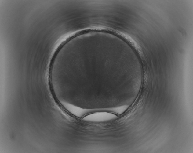 X0000111651327200908141243