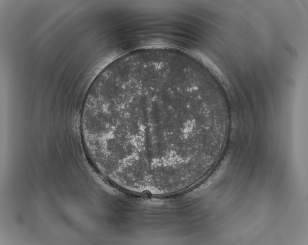 X0000111651329200908141243