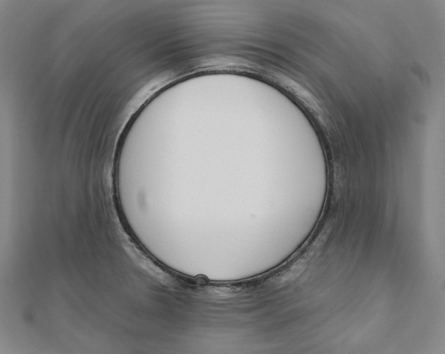 X0000111651330200908141243