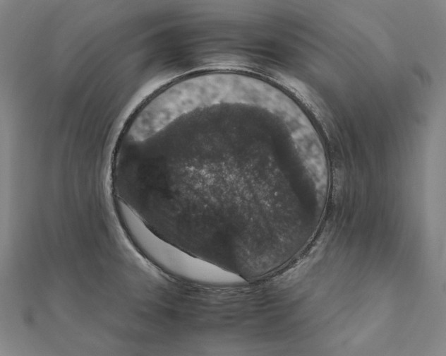 X0000111651331200908141243