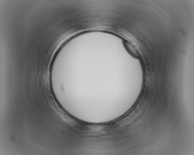 X0000111651332200908141243