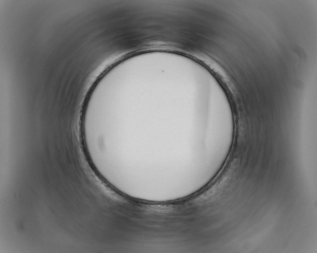 X0000111651333200908141243