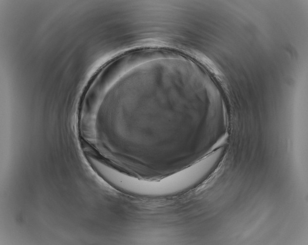 X0000111651334200908141243