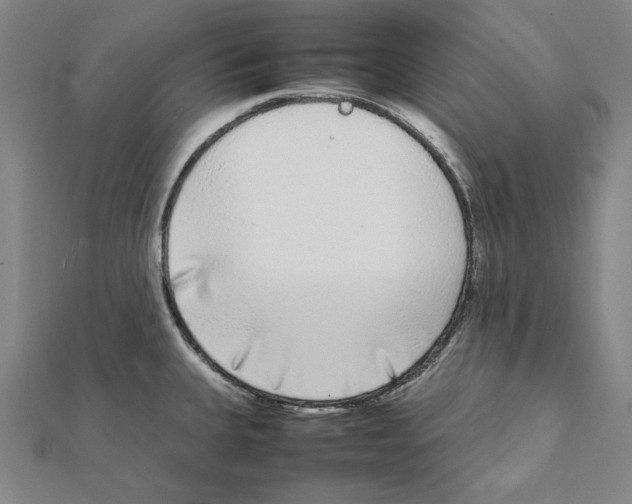 X0000111651335200908141243