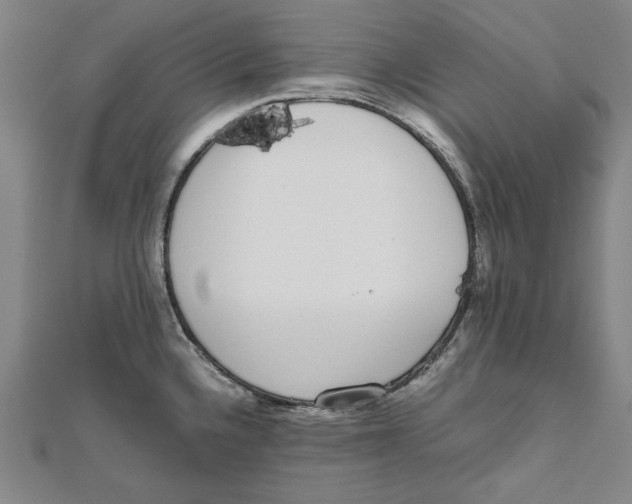 X0000111651336200908141243