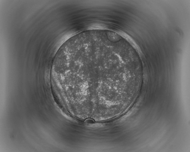 X0000111651337200908141243