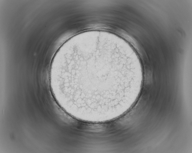 X0000111651338200908141243