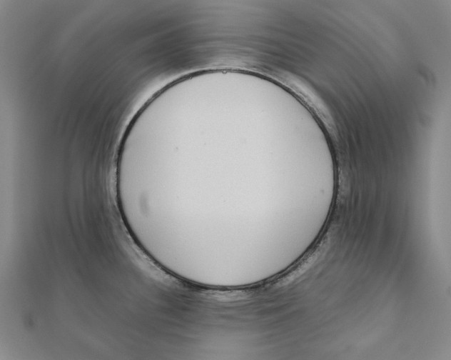X0000111651340200908141243