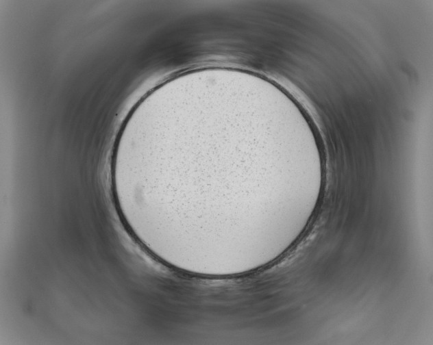 X0000111651341200908141243