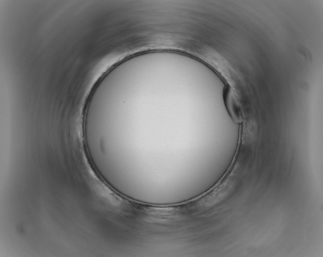X0000111651342200908141243
