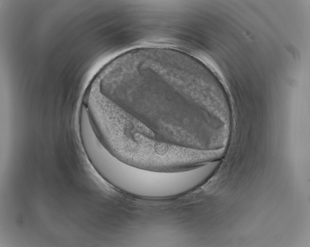 X0000111651344200908141243