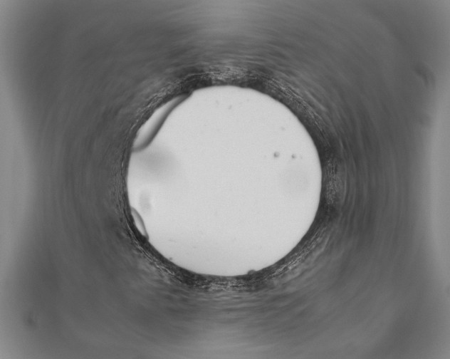 X0000111651345200908141242