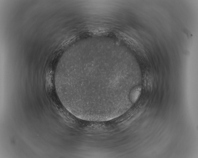 X0000111651346200908141242