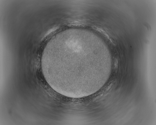 X0000111651350200908141242
