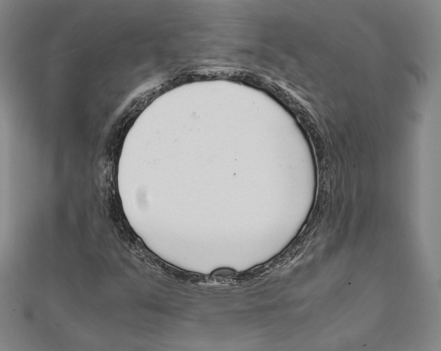 X0000111651351200908141242
