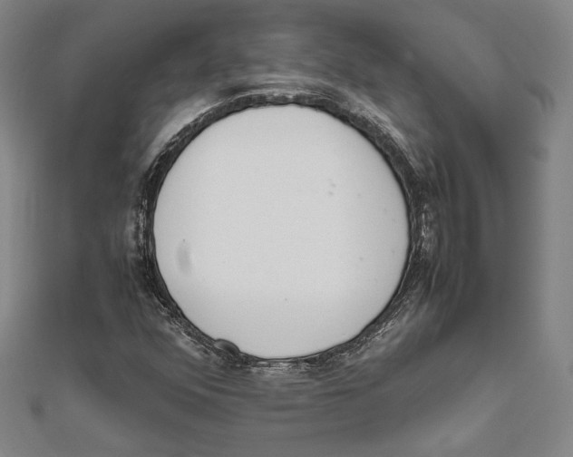 X0000111651352200908141242