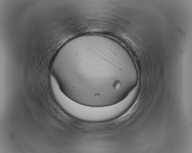 X0000111651353200908141242