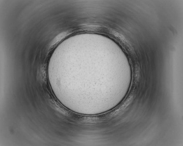 X0000111651354200908141242