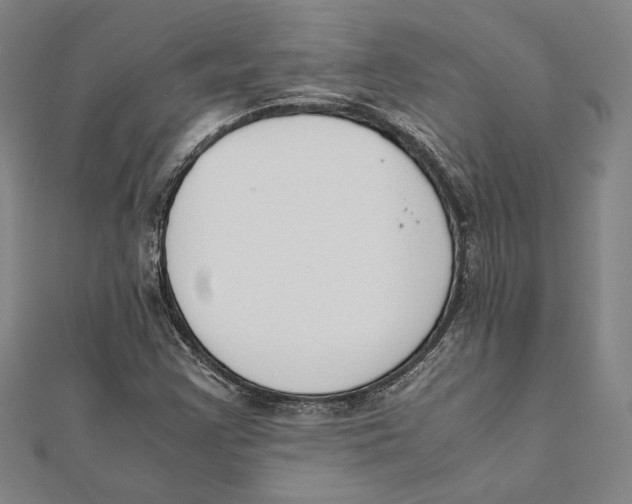 X0000111651355200908141242