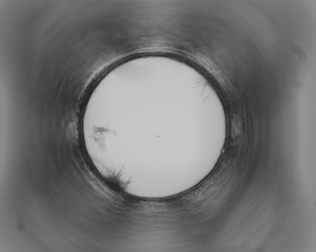 X0000111651356200908141242