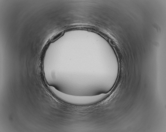 X0000111651357200908141242