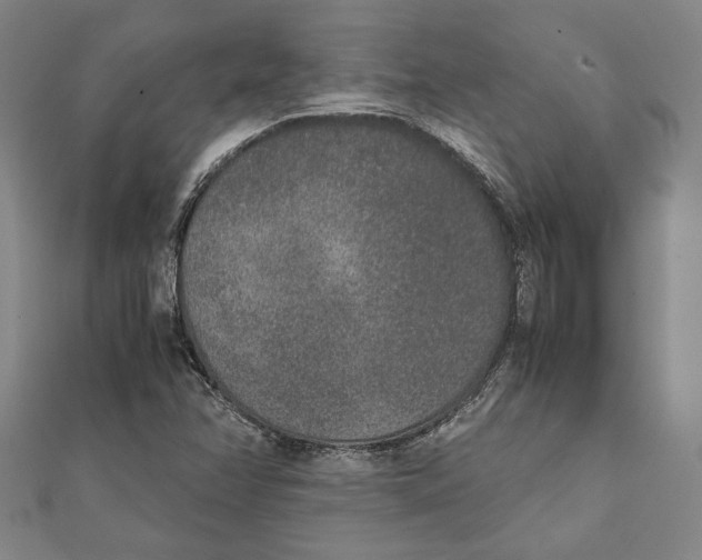 X0000111651358200908141242