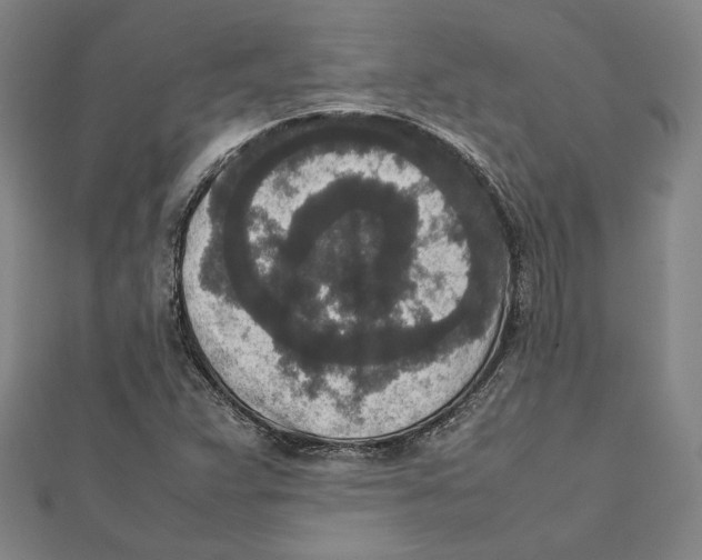 X0000111651359200908141242