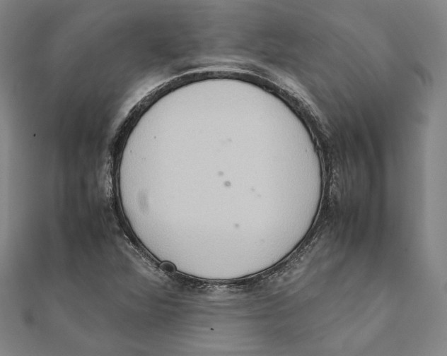 X0000111651360200908141242