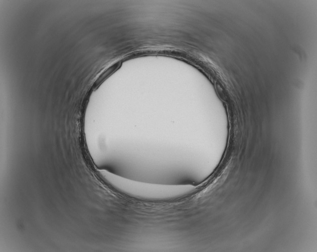 X0000111651361200908141242
