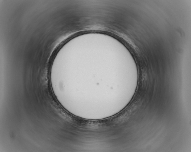 X0000111651364200908141242