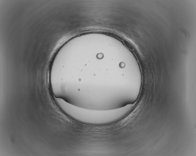 X0000111651365200908141242