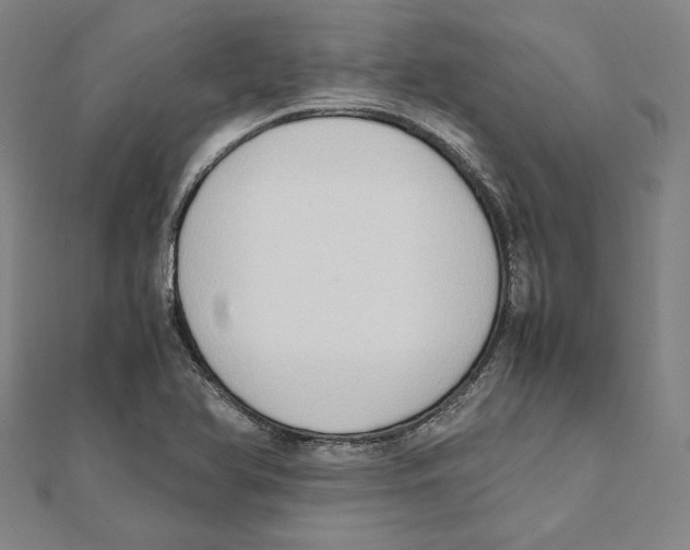 X0000111651366200908141242
