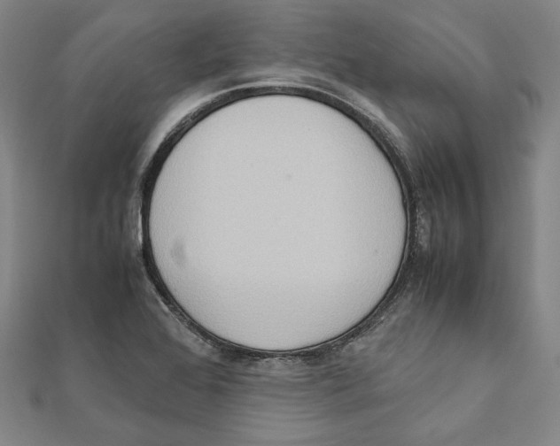 X0000111651368200908141242
