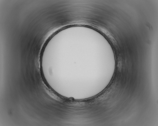 X0000111651372200908141242